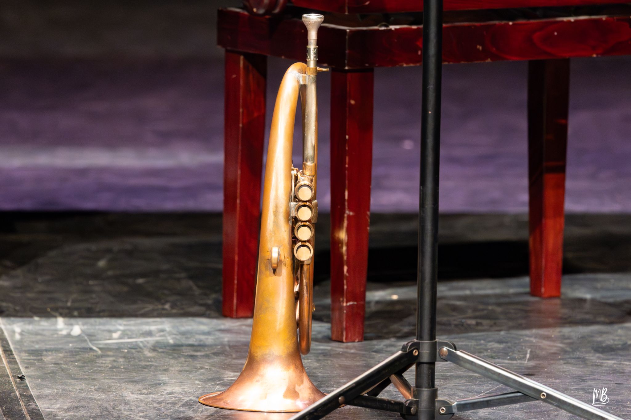 20241020   Vibration(s)   MB 19